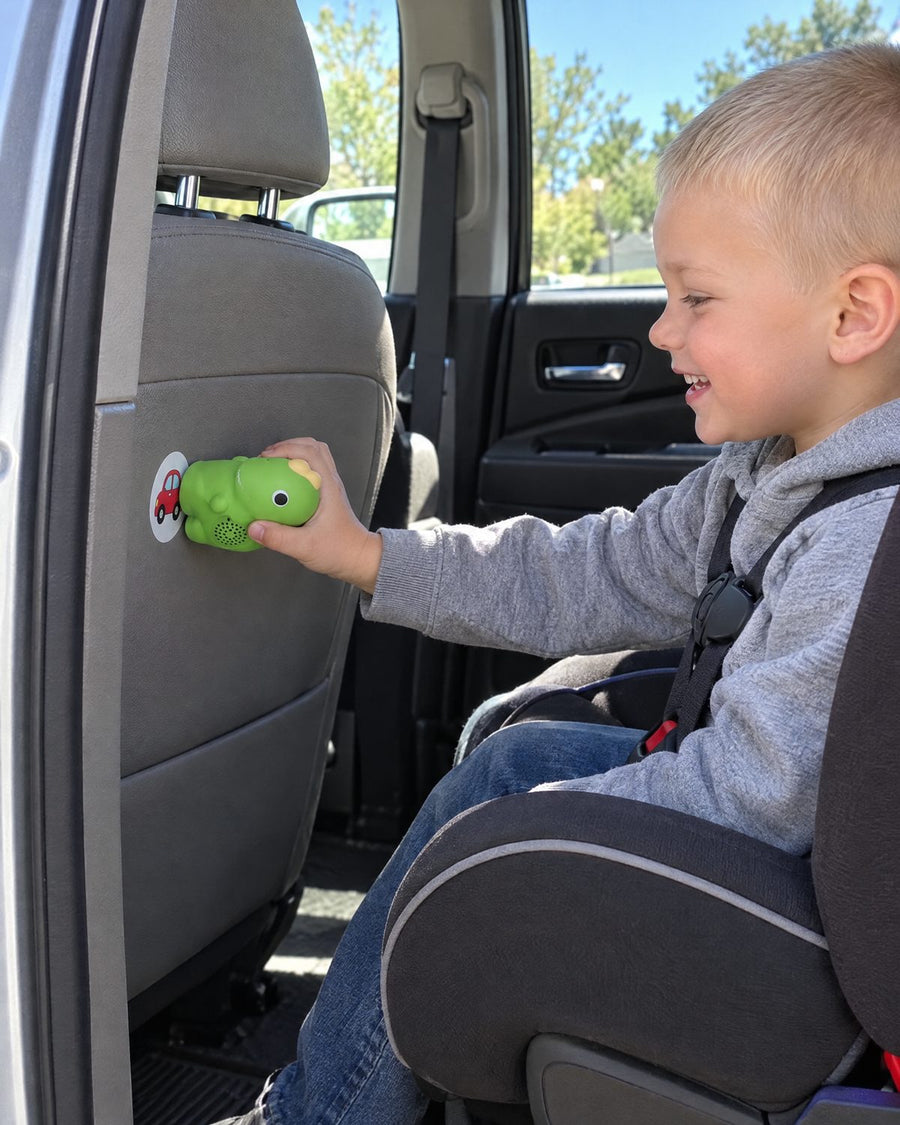 The car seat
